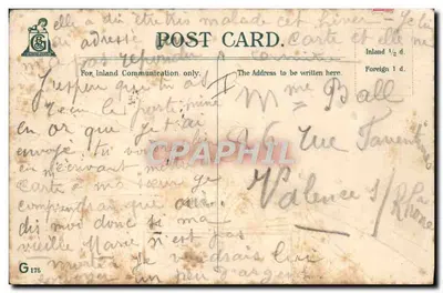Coccinella em galho — 'Birthday Greetings' — Madliek — Verso