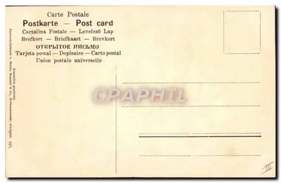 Dois insetos em galho de bétula — ilustração botânica — União Postal Universal, n° 337 — Verso