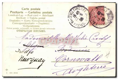 Dwa skarabeusze w strojach wieczornych — pod muguety — wydawca B. Seria 3236 — Rewers