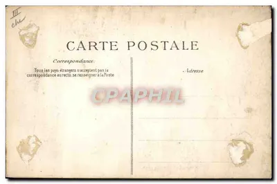 Retrato de um homem barbado — editor G. T. — n° III — Verso
