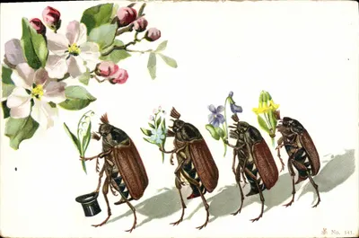 Coccinelles portant des fleurs — illustration humoristique — éditeur inconnu, n° 541
