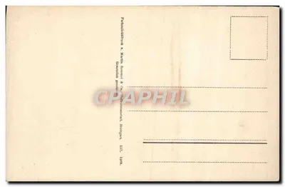 Dois insetos em galho de bétula — ilustração botânica — editor P. Martin Romme & Co., Stuttgart — Verso