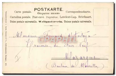 Dwa owady na gałęzi bzu — wydawca Kühn & Co. nr 517 — Rewers