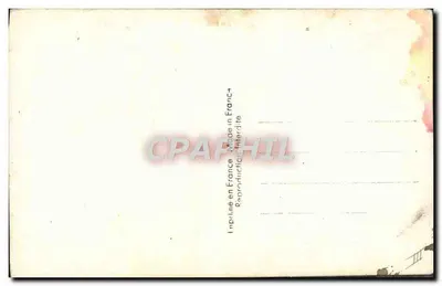 Dita Larlo — Włoska aktorka — Studio Star nr 684 — Rewers