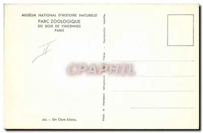 Um Urso Branco — Museu Nacional de História Natural, Parque Zoológico do Bois de Vincennes, Paris — Reprodução héliogravura, Frères Daimir — Verso