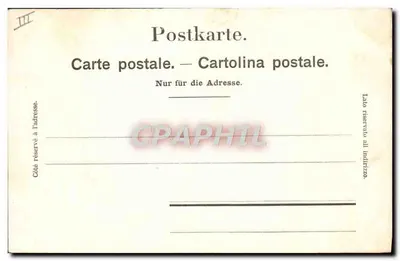 Dwa niedźwiedzie w Bärengraben w Bernie — A. Wicky, Phetr., Bern, n°24 — Rewers