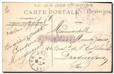 Powrót stada — Salon, Francja — wydawca nieznany — Rewers