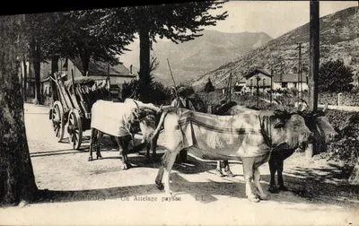 Lourdes — Um Attelage rural — LL