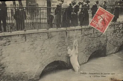Paris - Inondations de Janvier 1910 — L'Ours blanc