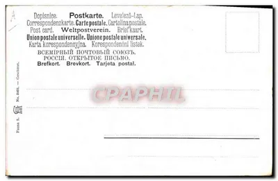 Niedzwiad polarny z ciekolcem — scena polowa — Peniberg — Rewers