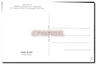 Urso branco — Foto Rapho — Editado pelo Comitê Nacional da Criança, Paris-VIIIe — Verso