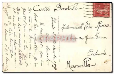 Gato e cachorro — Boas-vindas ao ano novo — Knill — Verso