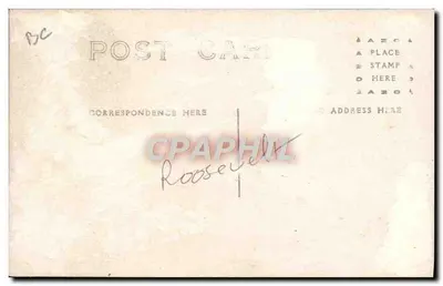 Retrato de um homem — fundo de árvores desfolhadas — cartão postal anônimo — Verso