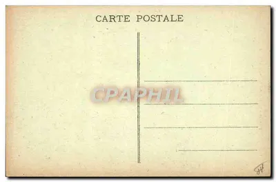 Zeehond — Studie — Coll. E. Hamont, Sr.B. n°2401 — Achterkant