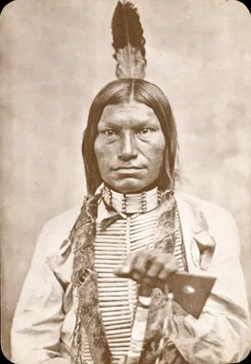 Low Dog — Chefe Oglala Sioux — série Old West Collectors, editor Kustom Quality