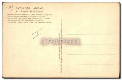 Colheita da Gema — Paisagens Landais — Edições E. Vignes — Verso