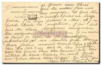 Resina verzamelen in een sparrenbos — Yorbleed — Syndicaat van Bosbezitters van het Zuidelijke Deel van de Charente — Achterkant