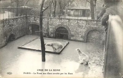 Paris - Fosse aux Ours envahie par les Eaux — E.D. (éditeur)