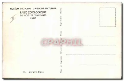 Biały niedźwiedź — Muzeum Historii Naturalnej, ZOO w Bois de Vincennes, Paryż — seria 200 — Rewers