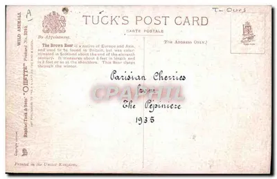 Mysz bursztynowa — Tuck's Post Card N° 3210 — wydawca Raphael Tuck & Sons — Rewers