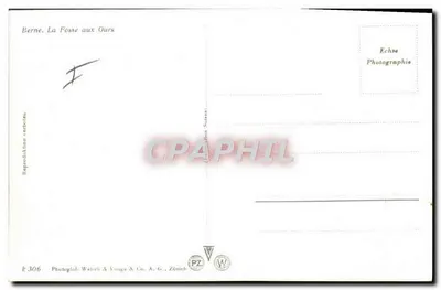 Bern. Bärengraben — recinto degli orsi — Photoglob Wehrli & Vouga & Co. A.-G. Zürich — Verso