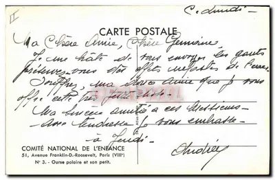 Orso polare e suo piccolo — COMITÉ NATIONAL DE L'ÉNÉANCE, N° 3 — Verso