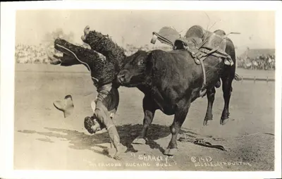 O touro « Sharkey » — espetáculo de touros — Doubleberry & Gustty, 1913