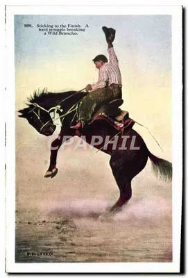 Rodeo — Konia skakącego — H.H. TAMMEN, n° 5092 — Rewers