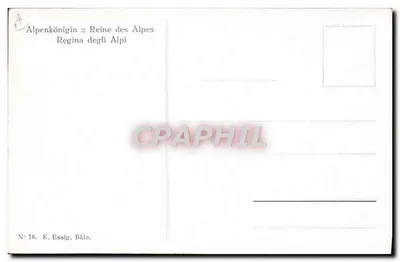 Alpenkönigin — Reine des Alpes — K. Essig, Bâlo, N° 10 — Achterkant