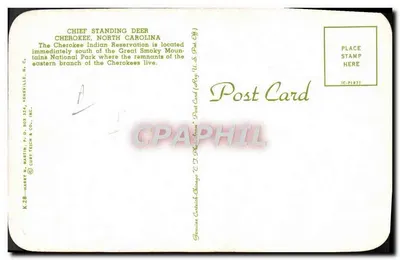 Cervo in piedi — Cherokee, Carolina del Nord — Curt Teich & Co. Inc. — Verso