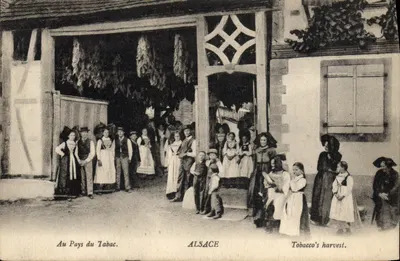 No País do Tabaco — ALSACE — n° 14
