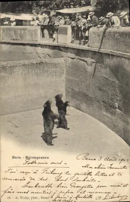 Bern - Bärengraben — Folle aux ours — A. Wicky, phot., Bern, n°26