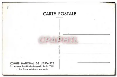 Orso polare e suo piccolo — Comitato Nazionale per l'Infanzia, serie N° 3 — Verso