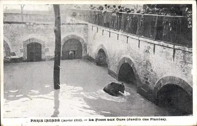 Paris inondé (janvier 1910) — La Fosse aux Ours (Jardin des Plantes)