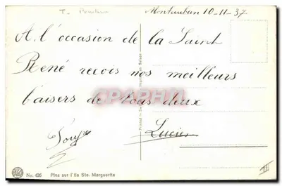 Kiefern auf der Insel Sainte-Marguerite — Malerei von E. Lavi — Verlag Drucker in der Schweiz, Nr. 426 — Rückseite