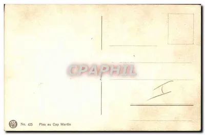 Pinhos no Cap Martin — STF No. 425 — Editor STF — Verso
