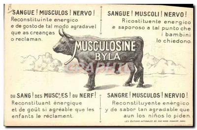 Samoyedo — Retrato de um homem — I. Fonseca — Verso