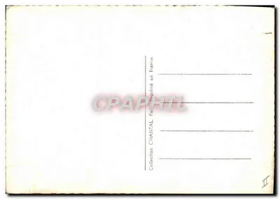 Simone Simon — portret — kolekcja CHANTAL, nr 498 — Rewers