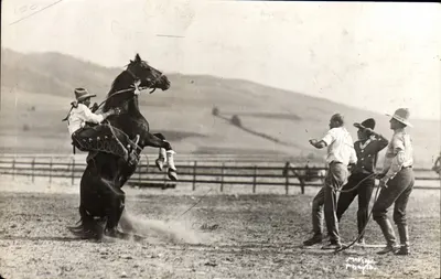 Cowboy montado em um cavalo cabrando — cena de rancho — editor Mekay Art Co., Missoula, Montana