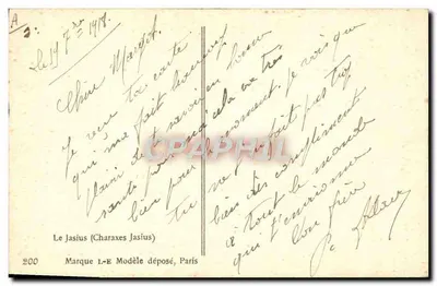 Dois pavões — Jasius (Charaxes Jasius) — Millot, n°200 — Verso