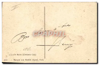 Dois borboletas sobre erva-de-bicho — ilustração de Millot — L'Ecaille Marte (Chelonia Caja) n°201 — Verso