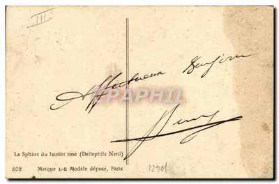 Sfinge del lauro rosa — (Deilephila Nerii) — Marchio L-E, n. 202 — Verso