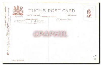Cinco borboletas britânicas — Raphael Tuck & Sons, n° 1 a 5 — Verso