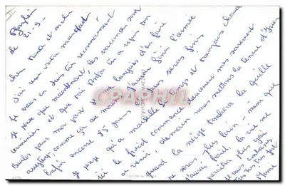 Camping na floresta — um homem sobe um bétula, um javali pastando — editor Maezelle, n° 61631 — Verso