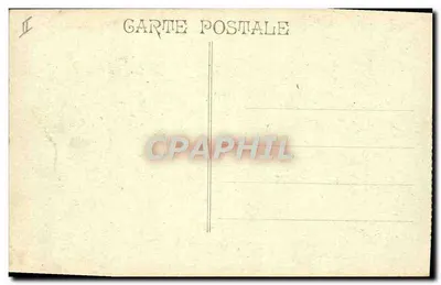 Marseille - Muzeum Historii Naturalnej — Eksponat z taxidermii ssaków — Rewers