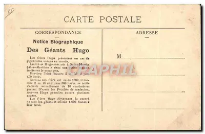 Los hermanos Hugo — Gigantes de Saint-Martin — número no visible — Reverso