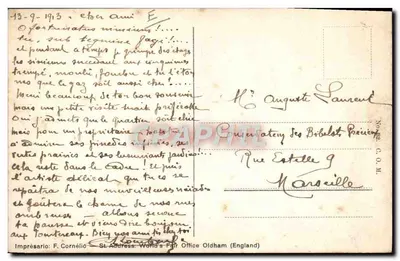Djita (Salomé) — Tätowierte orientalische Schönheit in 14 verschiedenen Farben — Elektrischer Prozess — Rückseite