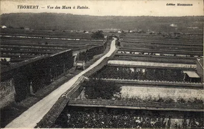 Thomery — View of the Ratsin Walls — Edition Moosmann