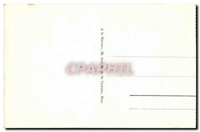 Nice — Ogólny widok przez piny — n° 167 — Rewers