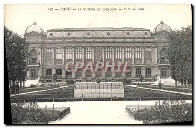 Paris — O Museu de Zoologia — P. P. C. Paris